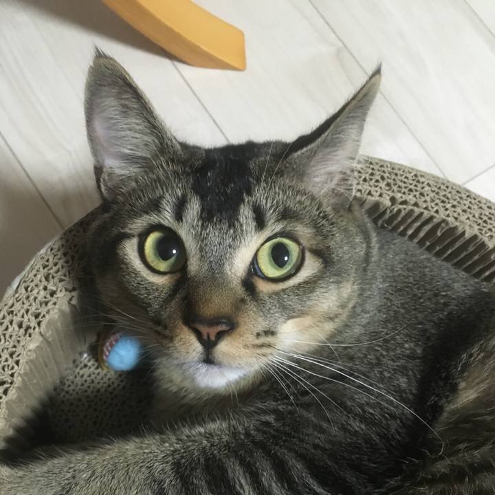 Aa11bb47 1222 474c b092 6991fd3ea59d