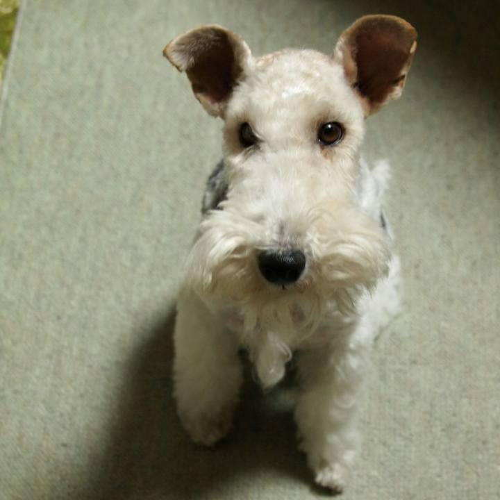 Aa13566b 456c 466b 91f0 ef73357f99a7