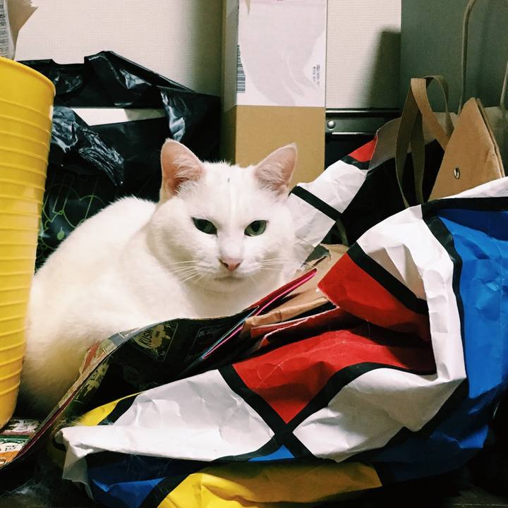 Aa14b26a 6bb4 4bc8 b6e1 d4fca27f1523