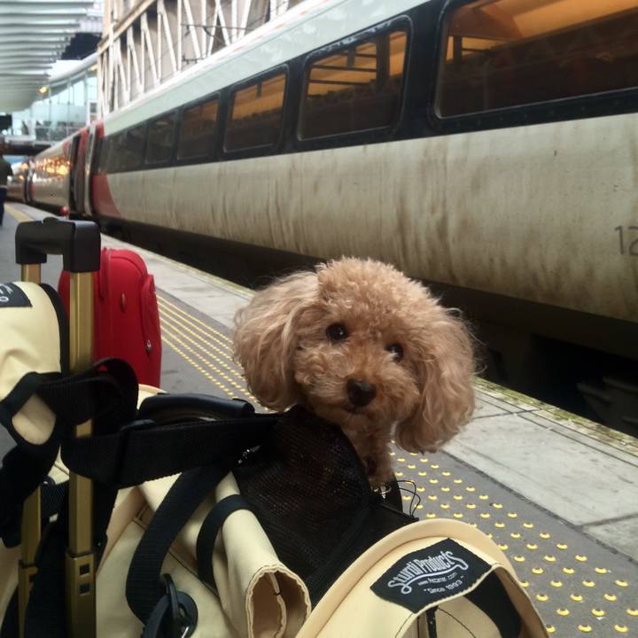 Aa14ddbe a7f1 4356 90fb 36488dcc2dd3