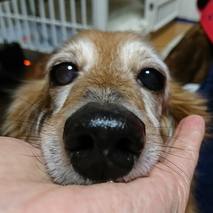 Aa1569a9 92fd 40a9 9e9e c2076c7e6183