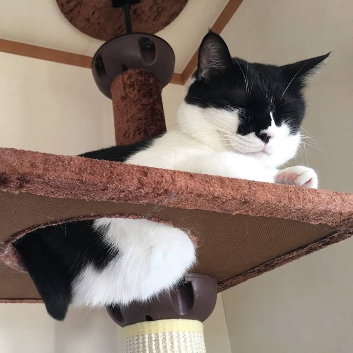 Aa1604e1 fe1f 4186 8fcb 8c23597c2d99