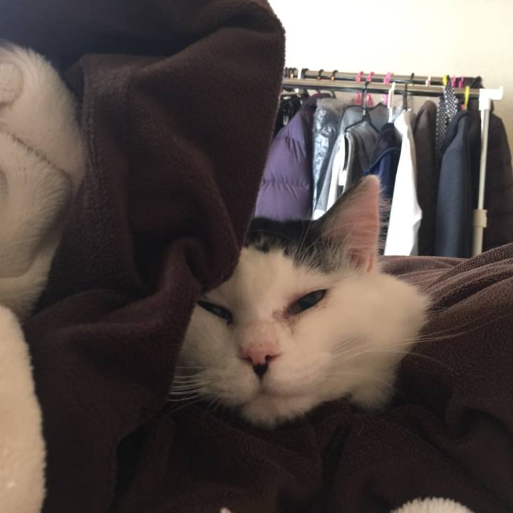 Aa163c1f 3220 4673 8c46 468a5952e1d0