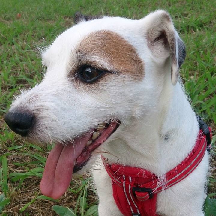 Aa16a145 ca60 4cf7 bad8 236c4c2724cc