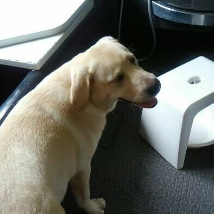 Aa16f374 abae 4572 8499 12fc909fc28b