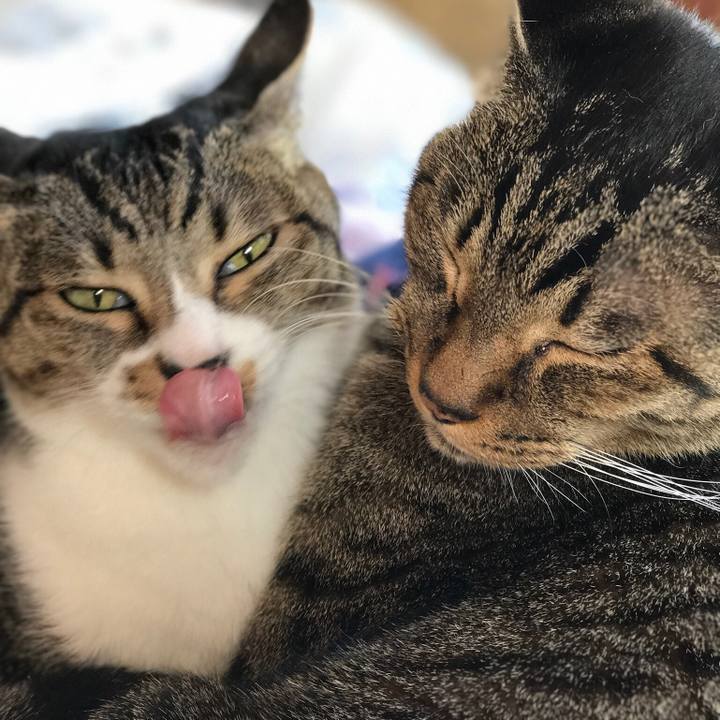 Aa16fa48 8001 48d6 8a1f 656b1b195cfc