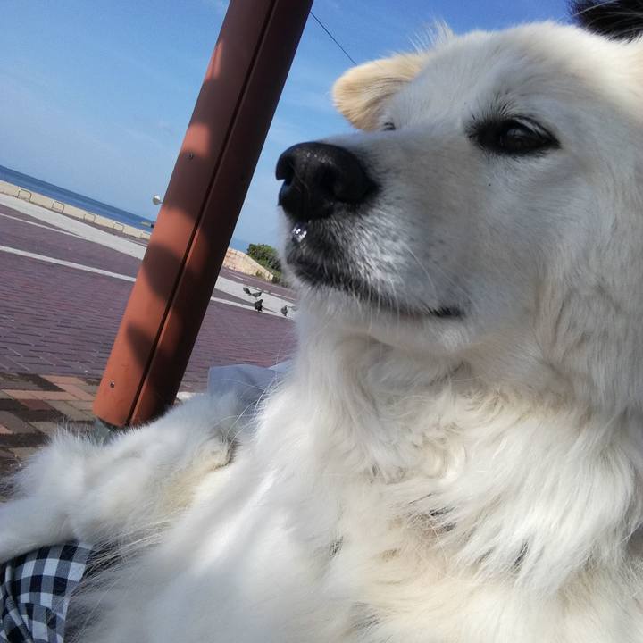 Aa17489b 6016 4176 b939 a4f5f68232f5