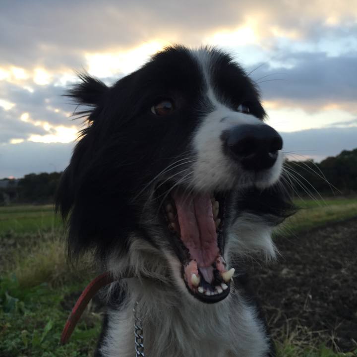 Aa1783c4 240f 4235 894c 66350c47e88e