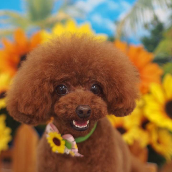 Aa1841a2 ad1b 44fe be8c c5f0cdf6f6f1