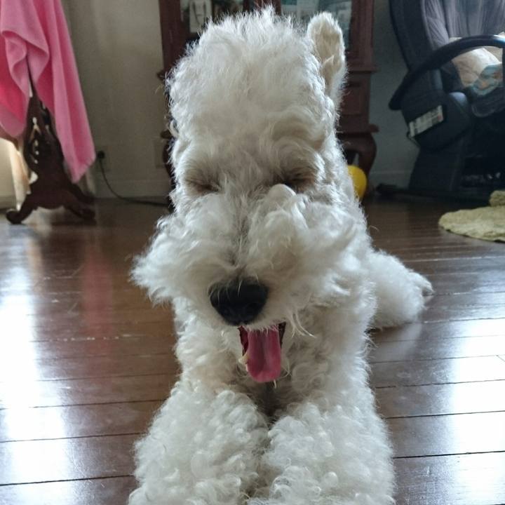 Aa194428 cbd8 4837 a4a9 007ba9d6e16a