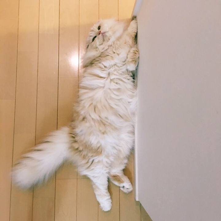 Aa19d357 56d9 47e3 9cc9 3277f74e3783