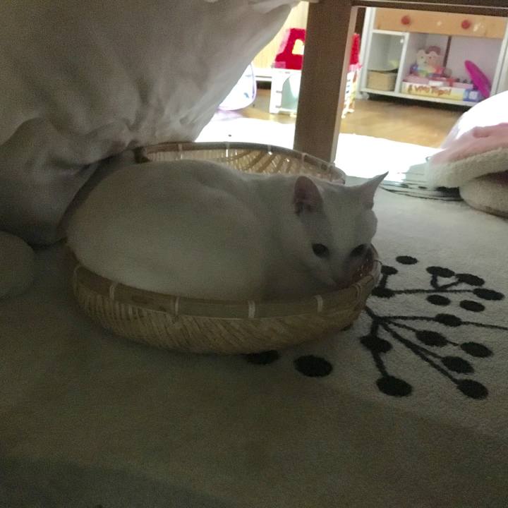 Aa19ed6c afef 4cb0 86b5 b748e887caa0