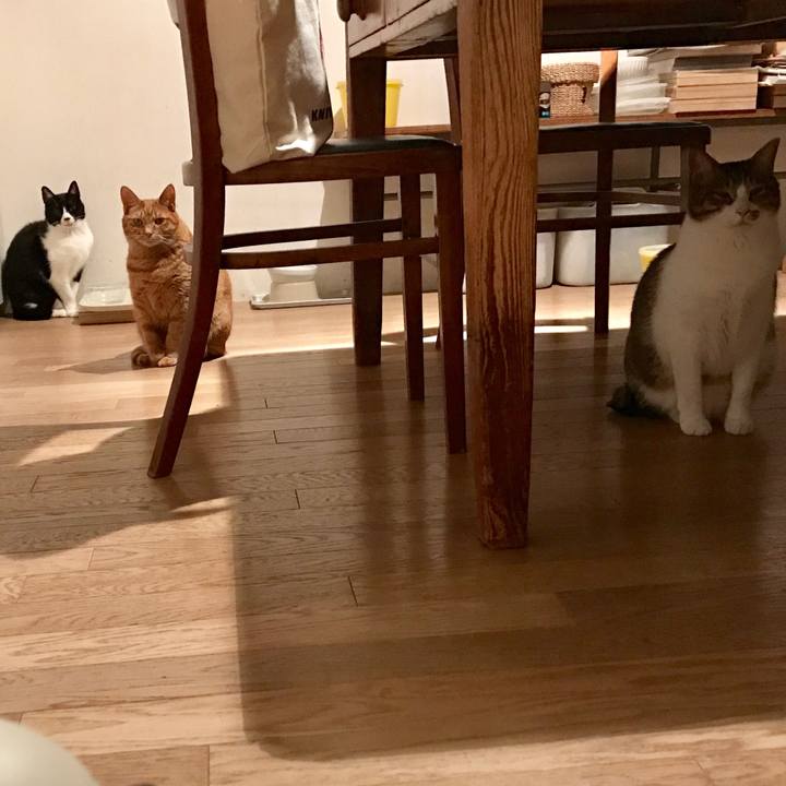 Aa19ef3e c4dd 4d05 bf72 fcfcd42173d5