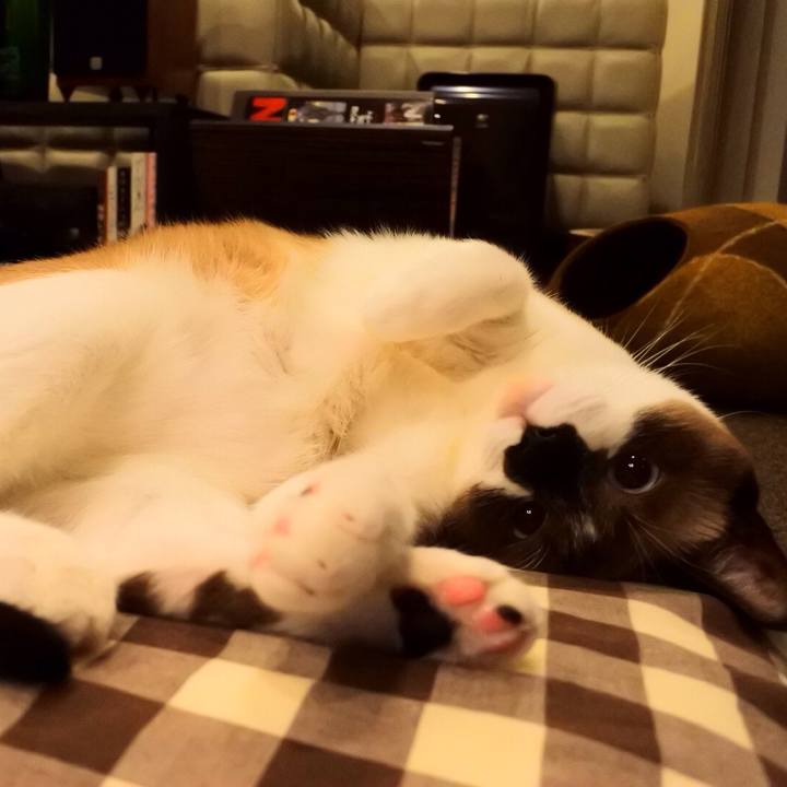 Aa1b321d 6b9f 40e2 adac ffa138b7567d