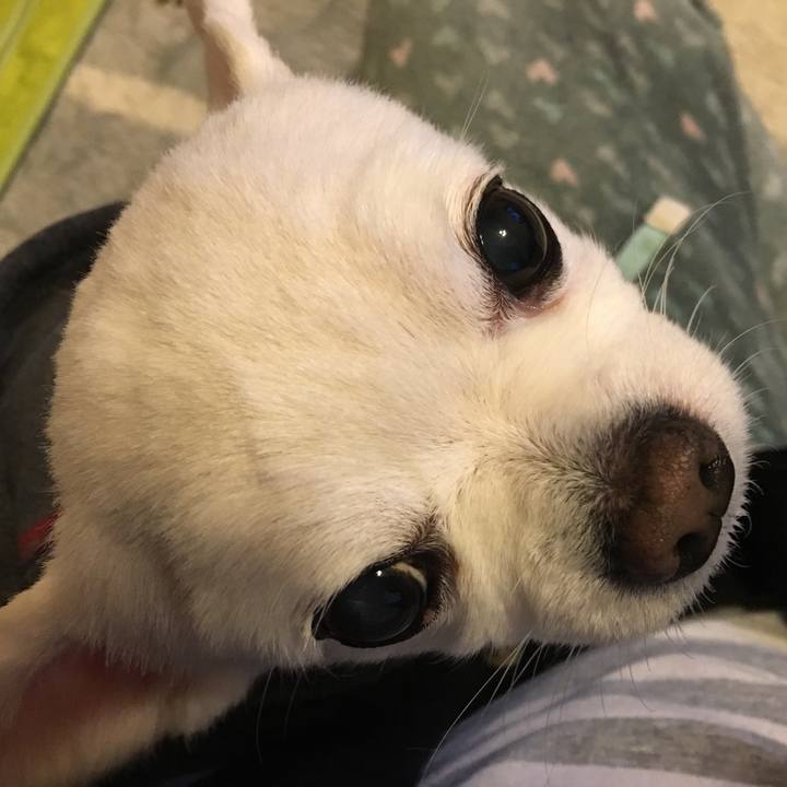 Aa1b4ed7 4844 48b7 825f 81e57f46f826