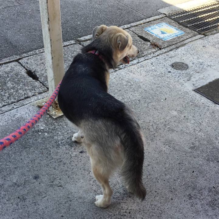 Aa1c03fb 5329 44e8 a51f 4e39fbd86f90