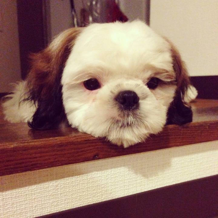 Aa1c7aca 6ca6 4496 94f7 cffaaece084a