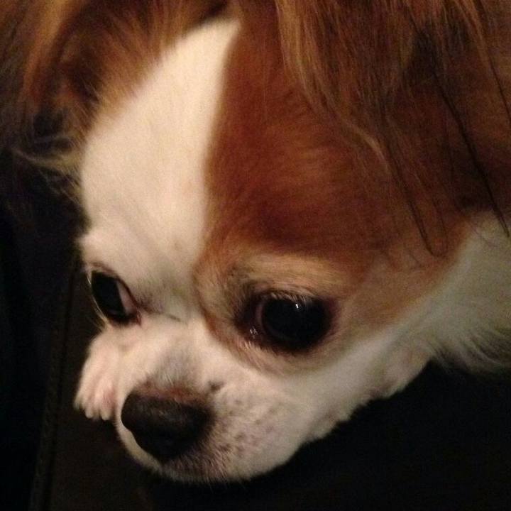 Aa1cc2af 4cdc 4593 820c 7b7edfbbcd50