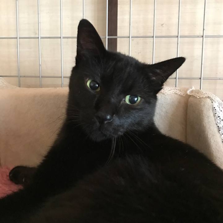 Aa1d3d25 2eea 4fd3 ad65 561d512fc668