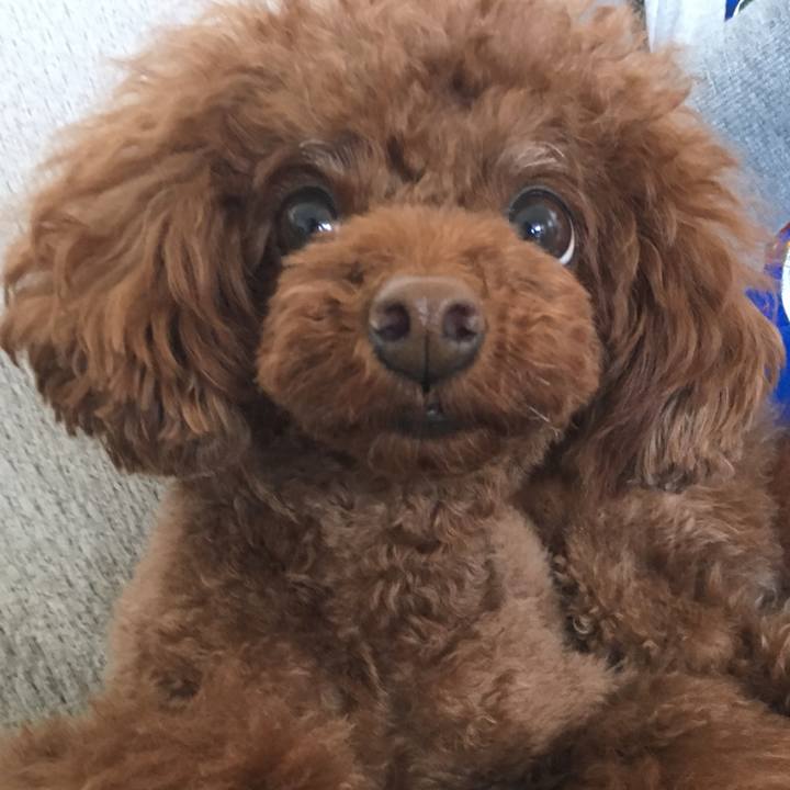 Aa1de056 68fe 4855 8fd9 af056dc7b64d