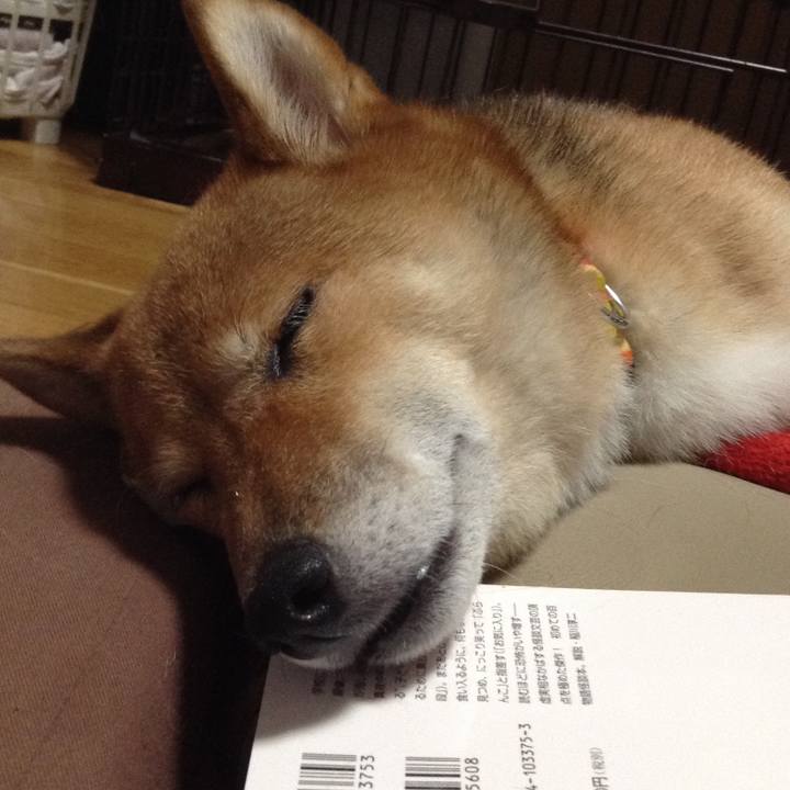 Aa1e849c 378b 4b51 99b6 8d7c44e43073