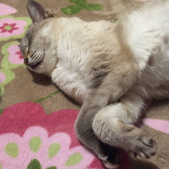 Aa1ea129 28d9 4837 aead 57838a594a40