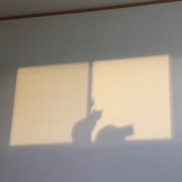 Aa1ef314 bfff 44db 8801 1d2cf35d738e