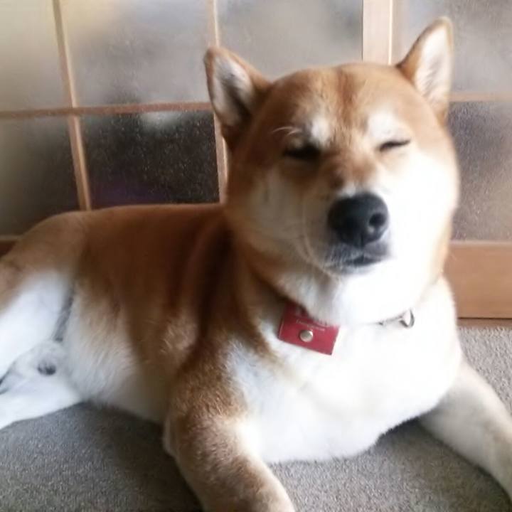 Aa1f185a 6eee 43b9 b9a3 6c13812b2ebc