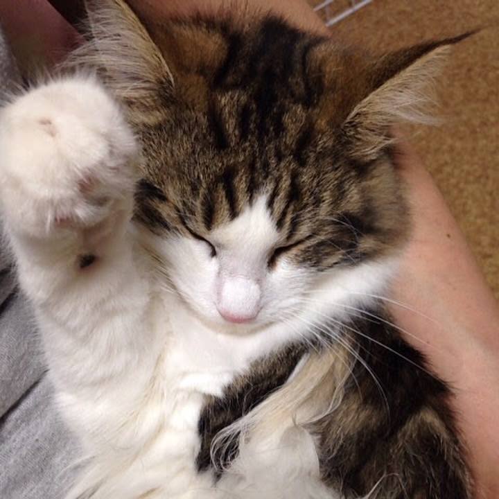 Aa1f270b 238c 416b bb4d 0668a95e72cd