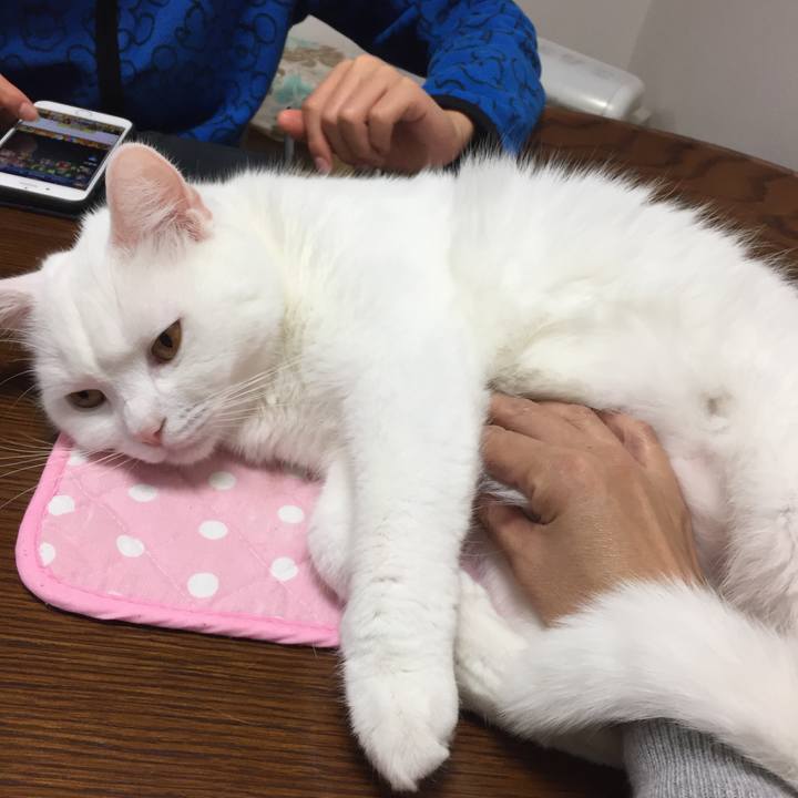 Aa1f2b0e 42ee 4913 a8cf 832cc164d293