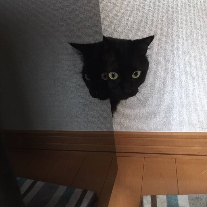 Aa1f375b 7030 48a6 a20f ff7290fff127