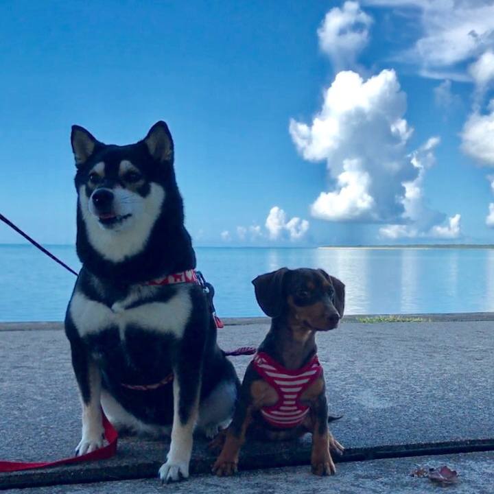 Aa1f609c c627 4c7d 8abe c5c70ac123be