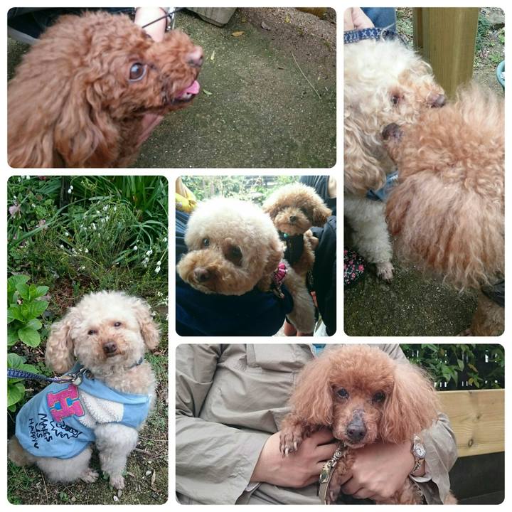 Aa1f6130 5b69 48b0 afc2 1d800f87f792