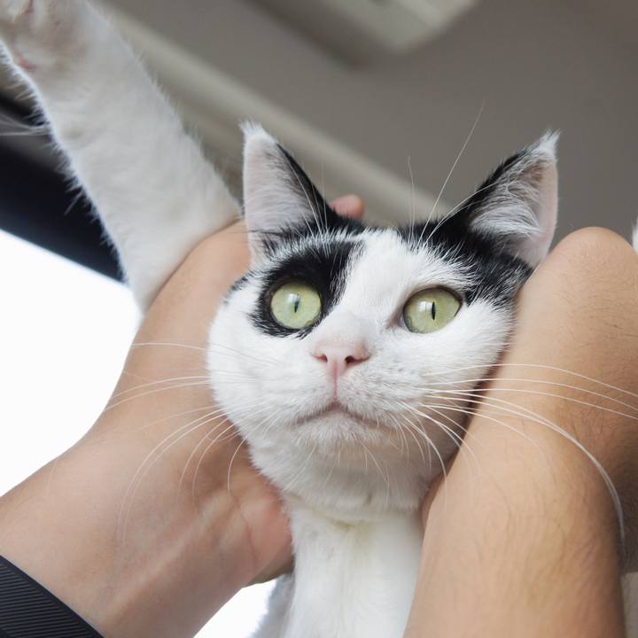 Aa1f7446 844d 418b a049 a37844b49800