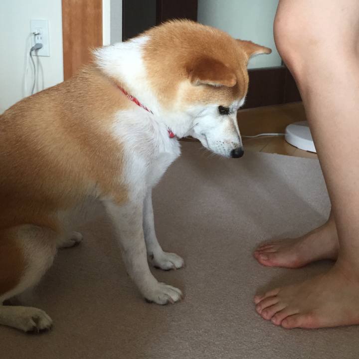 Aa1fa859 783a 48f4 b883 5122ea6505b1