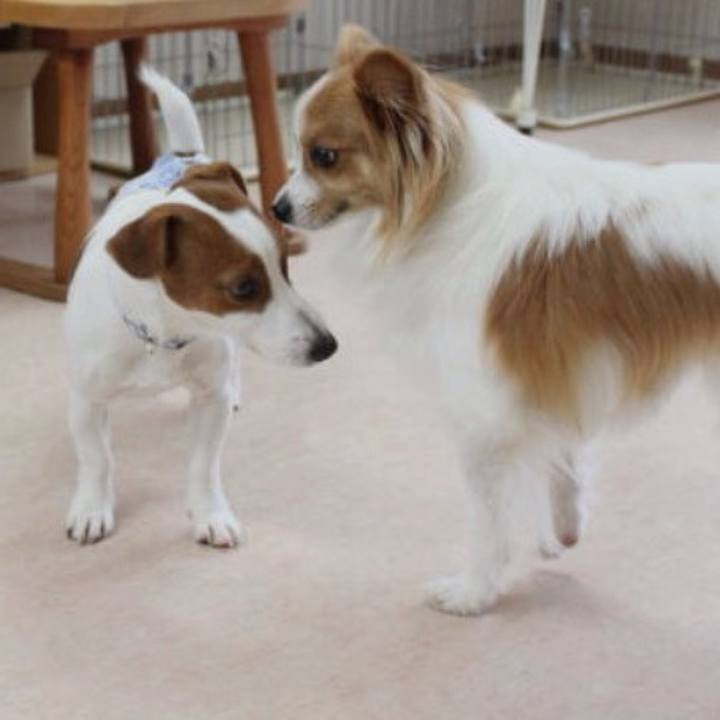 Aa1fc476 7fac 4a0f 81a4 1e850c8f6824