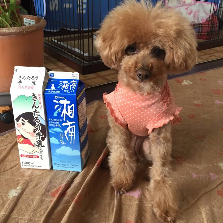 Aa20a29f 2026 4fe9 bcf8 ab080602079a