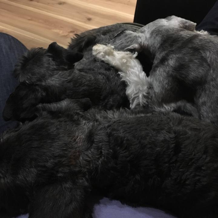 Aa213fca 1f54 4985 b398 af425986a0cf