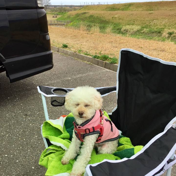 Aa215efc d70d 4d82 902a 839d79feac2b