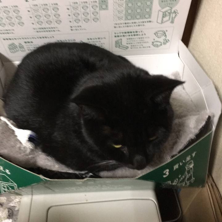 Aa217e6b 1f73 4265 8fa7 266156d254b3