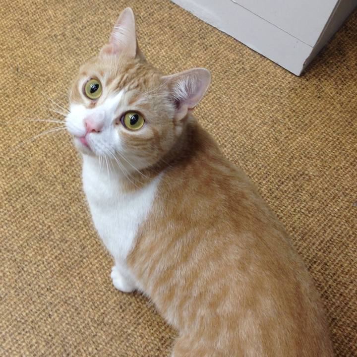 Aa21b2f8 c749 4ba8 8e17 92a8de2da19e