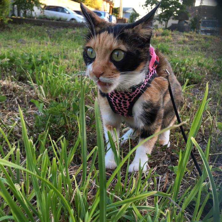 Aa2224e7 6d20 4901 9dde dd1c7c98bfce