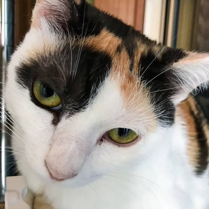 Aa223651 2a8d 4cb5 8a19 e7a938970526