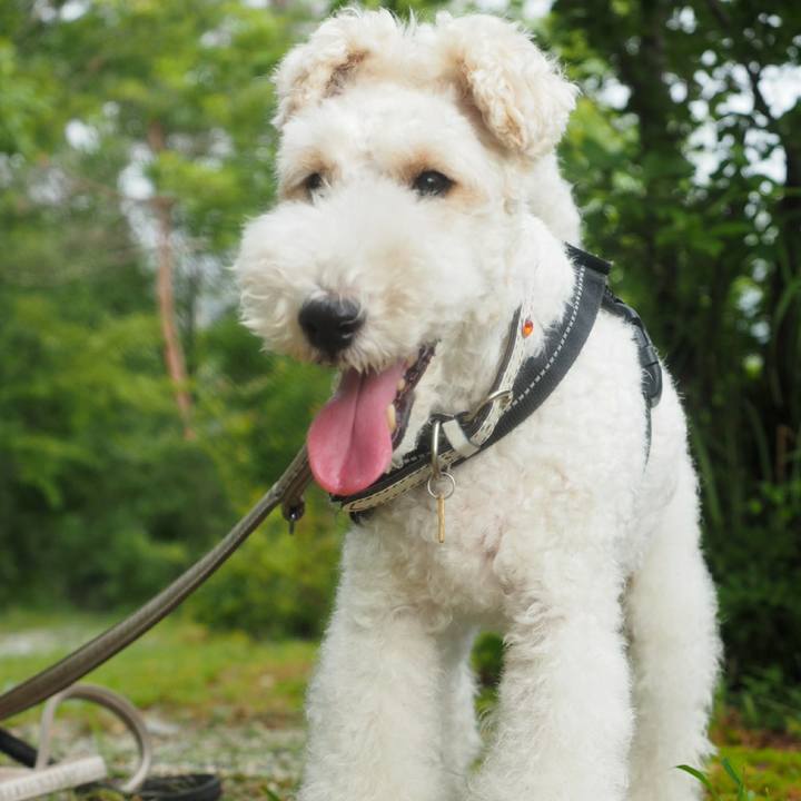 Aa23398c b8bc 479c a148 cf6c3398c836