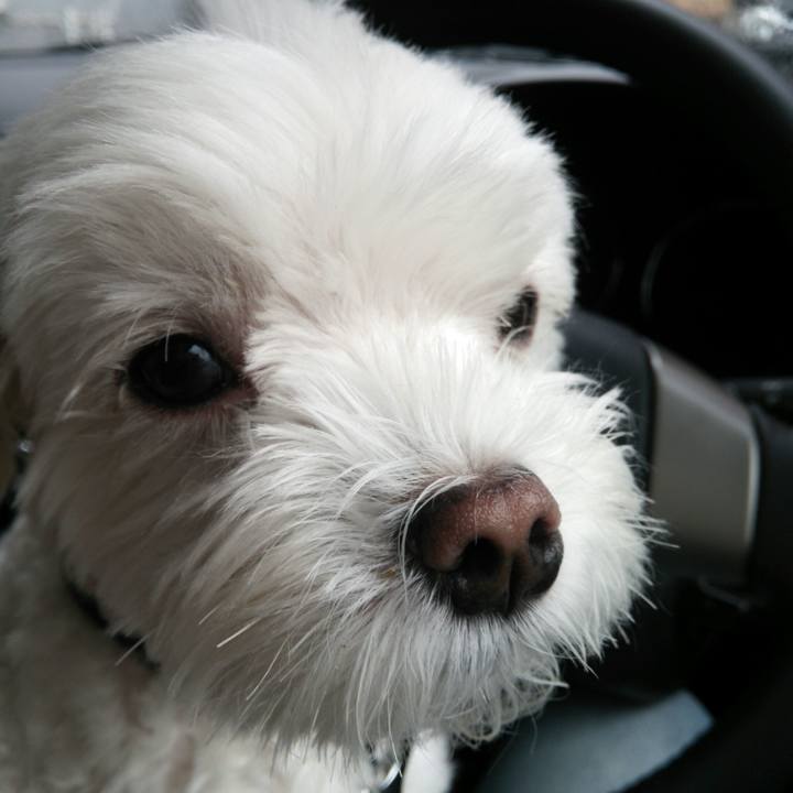 Aa234694 e544 48bd beda 88af41529929