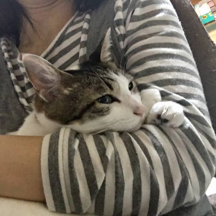 Aa2386fa d388 4368 9bb1 e5a12bddf52b