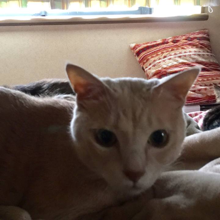 Aa23cbf3 d7eb 4d9e b650 81abfce06394