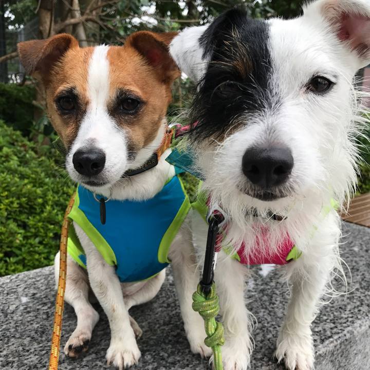 Aa23da0a 7576 488d 941a 4e46ed49873c