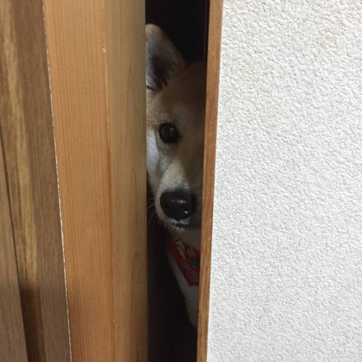 Aa23f689 b6eb 4664 8bcd c00652a25ba8