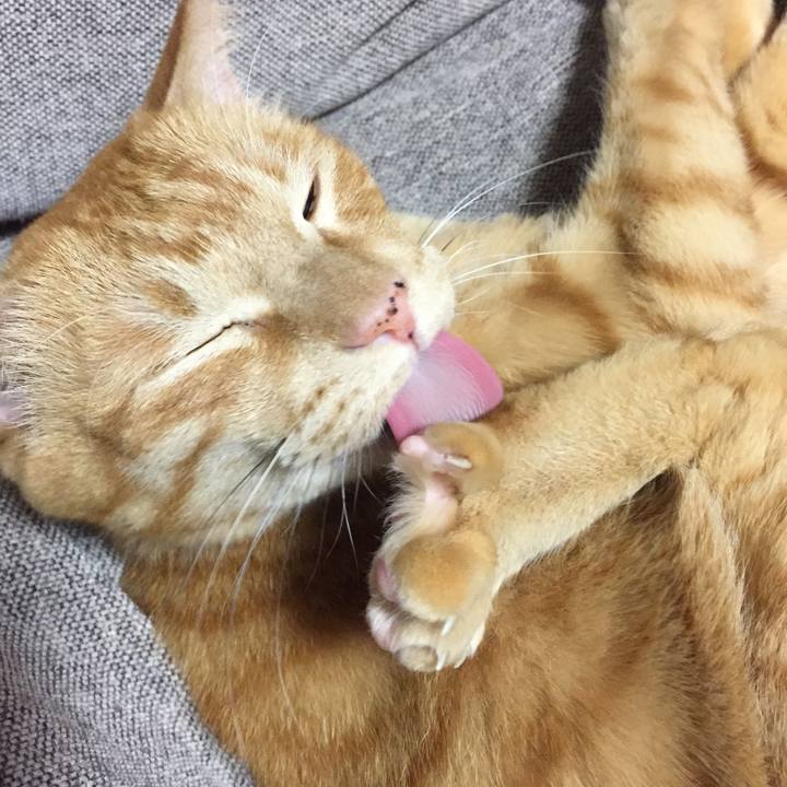 Aa23f855 e717 4c17 b187 96a831c31544